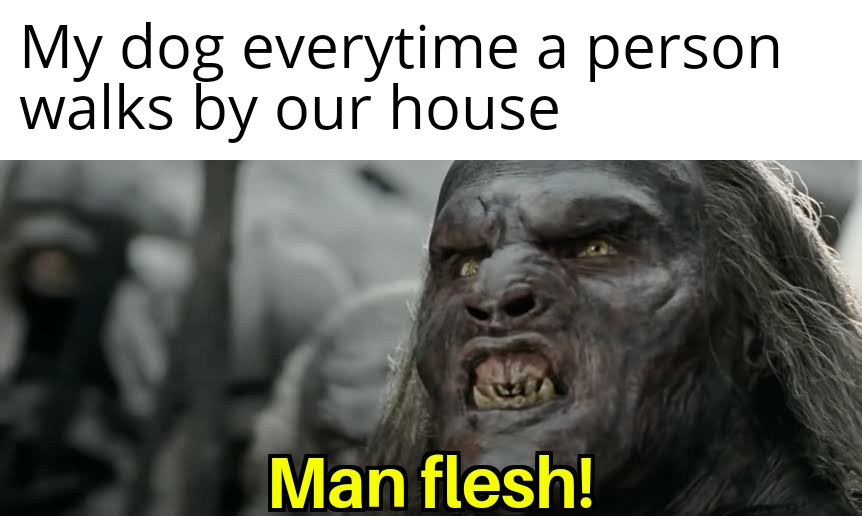 My dog everytime a person walks by our house Man flesh meme