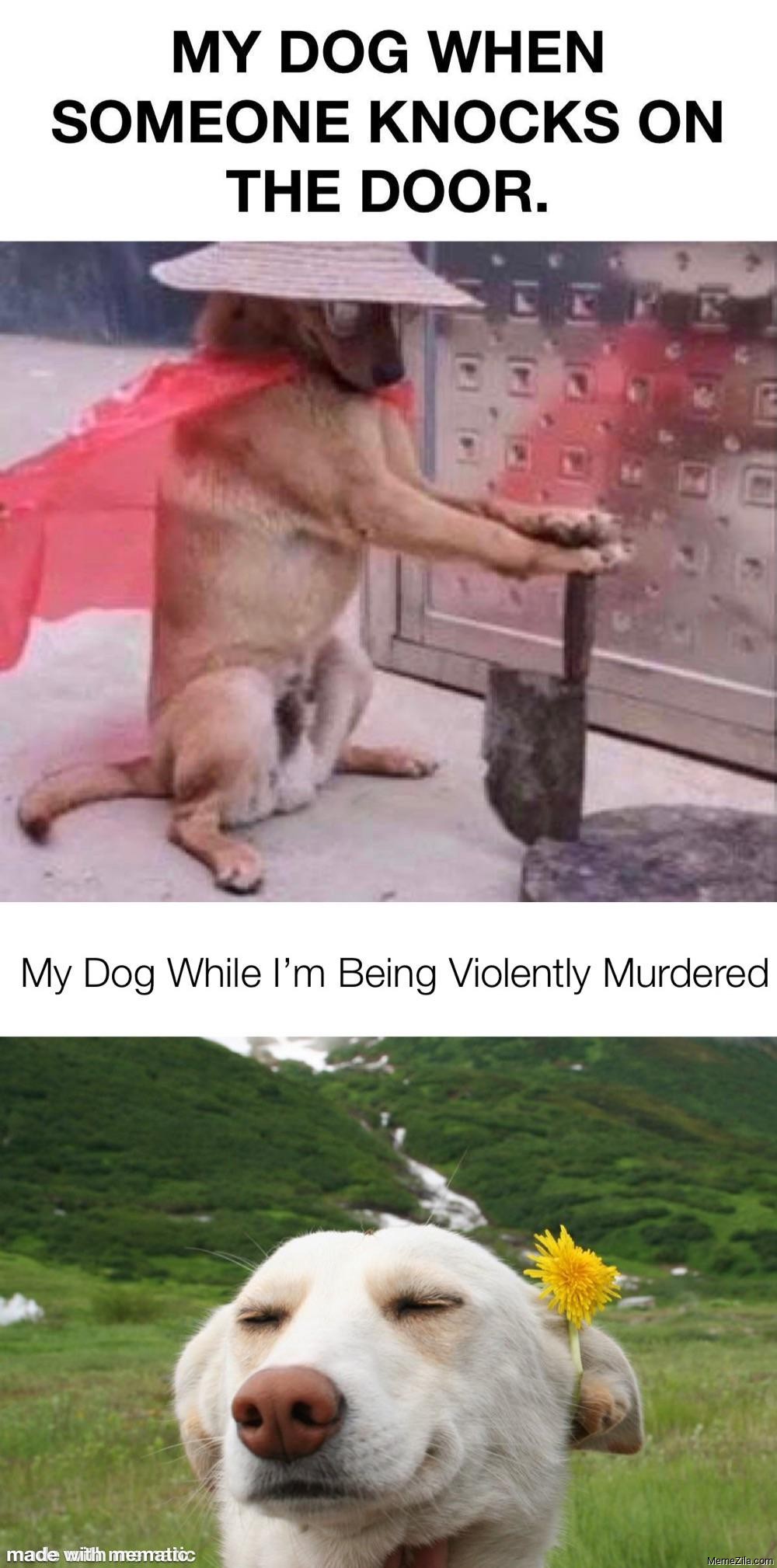 My dog when someone knocks on the door vs My dog while I am being violently murdered meme