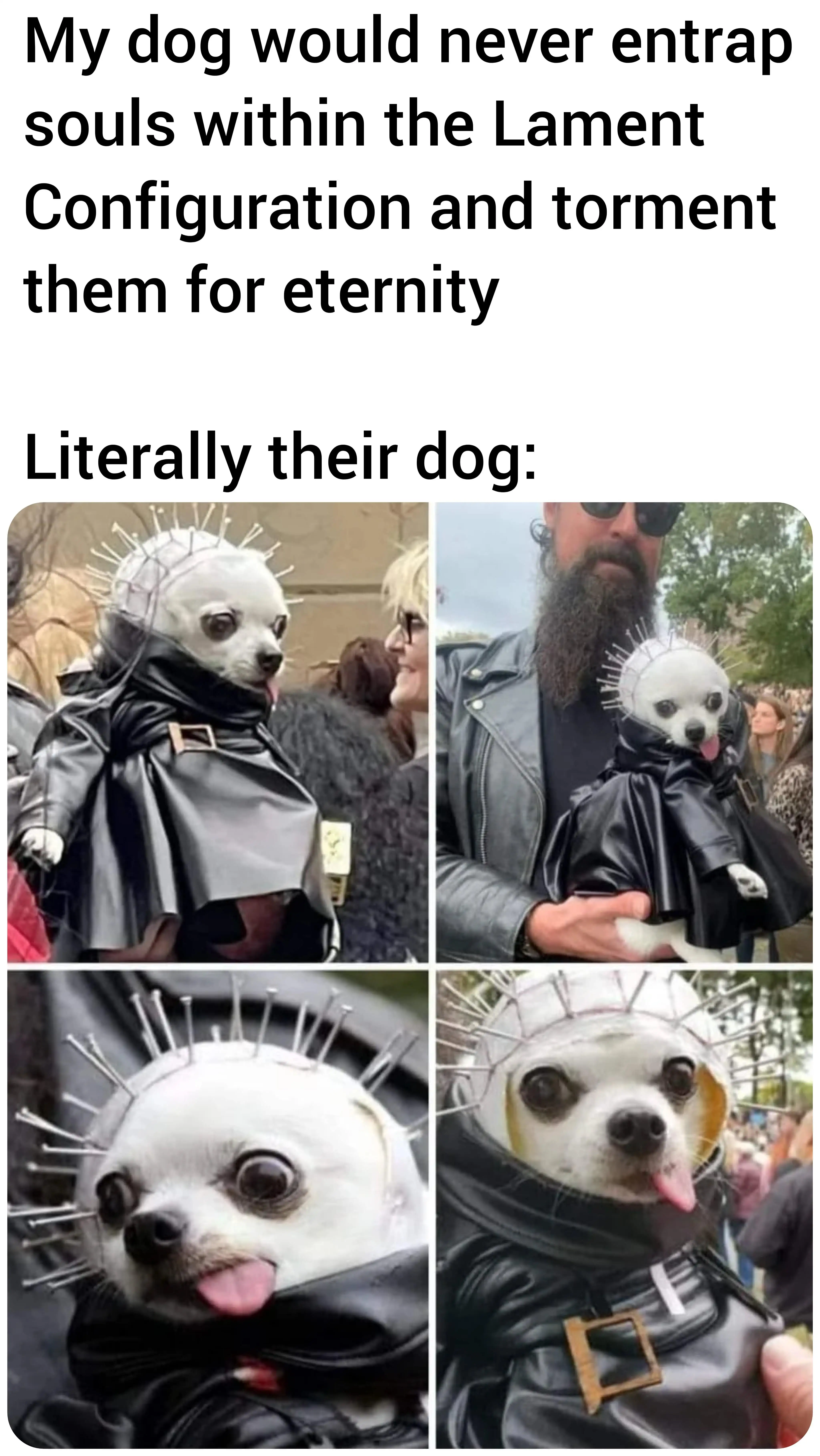 My dog would never entral souls within the lament configuration and torment them for eternity meme