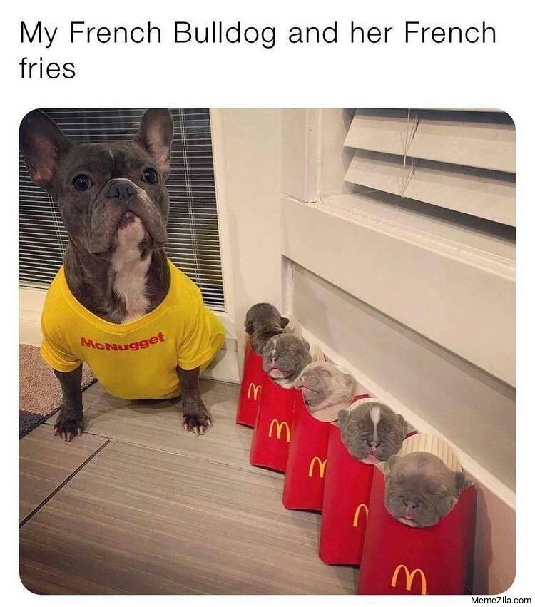 My French Bulldog and her French fries meme