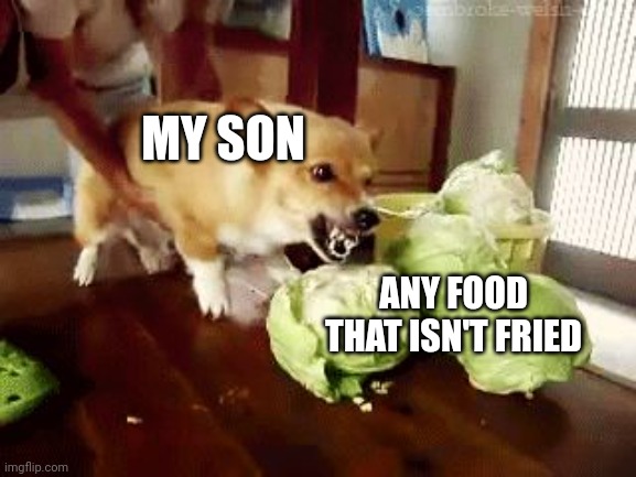 My son Any food that isn't fried meme