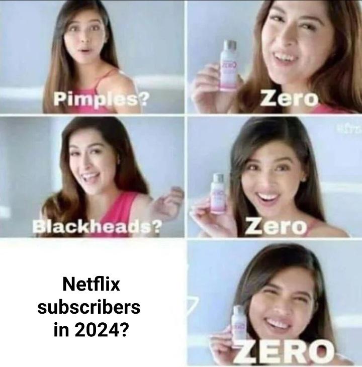 Netflix subscribers in 2024? Zero meme