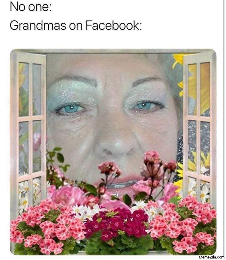 No one Grandmas on facebook meme