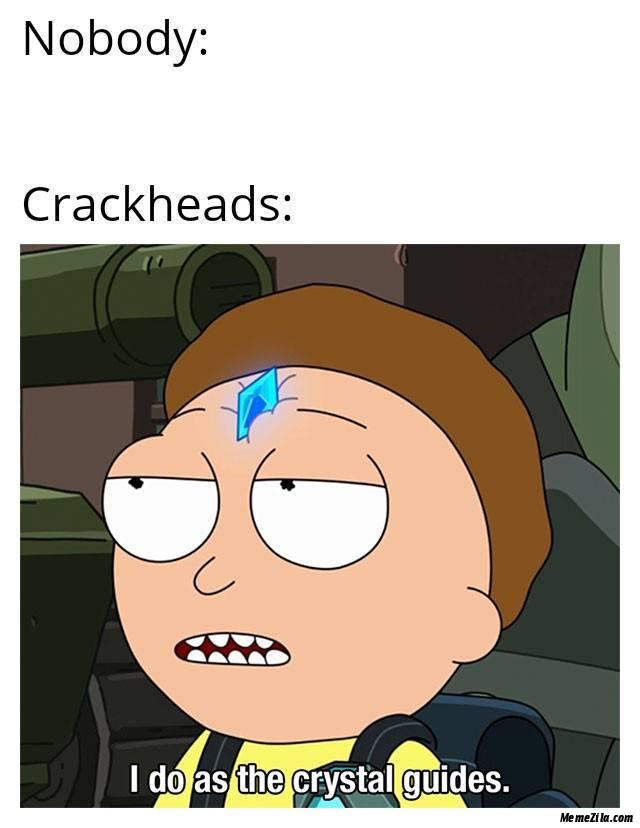 Nobody Crackheads I do as the crystal guides meme