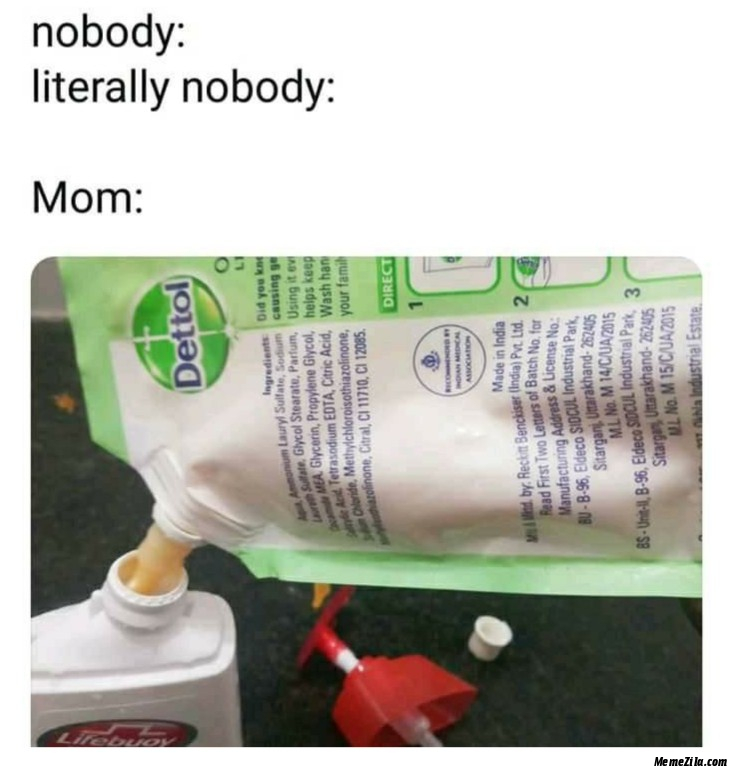 Nobody Literally nobody but mom pouring Dettol hand wash in Lifebuoy bottle meme