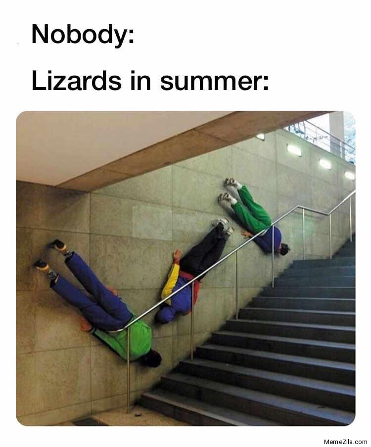 Nobody Lizards in summer meme