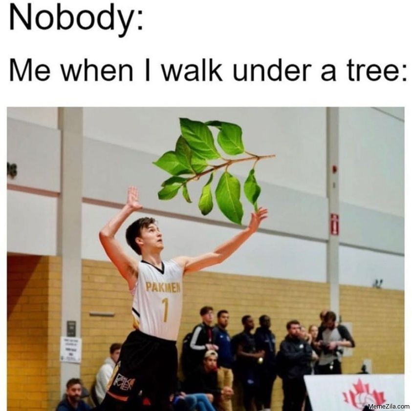 Nobody Me when I walk under a tree meme