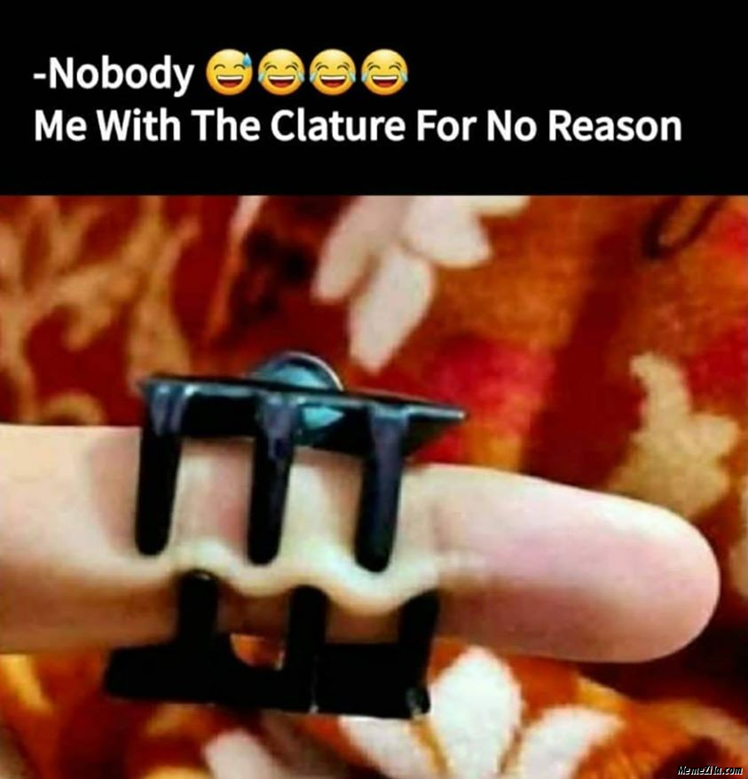 Nobody Me with the clature for no reason meme 