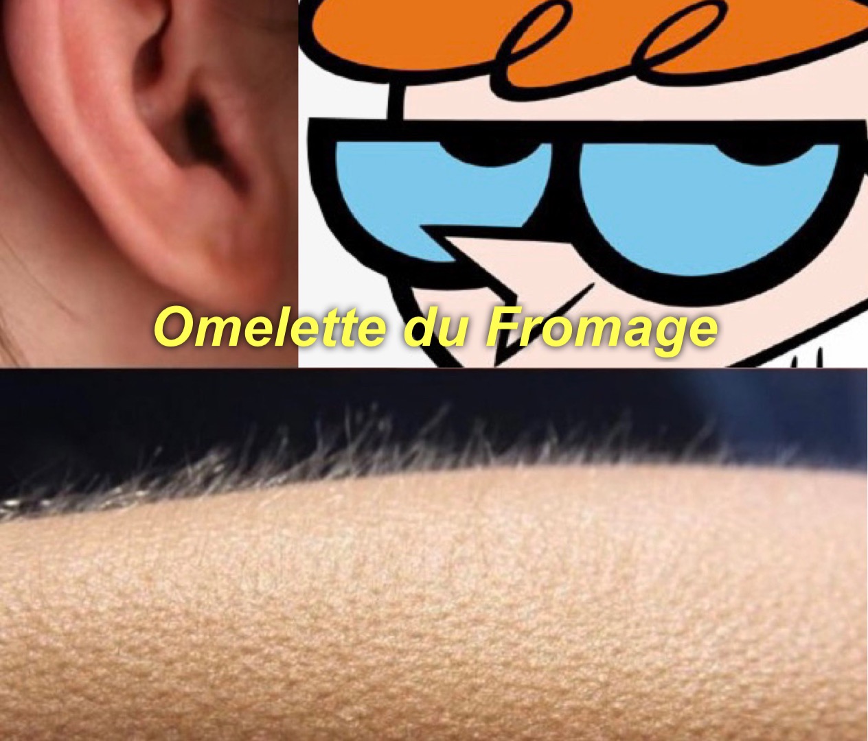 Omlette du Fromage meme