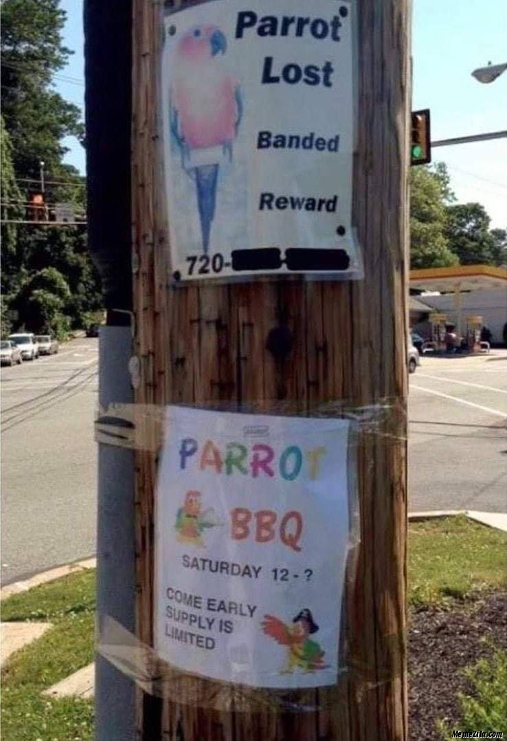 Parrot lost vs Parrot bbq barbeque meme