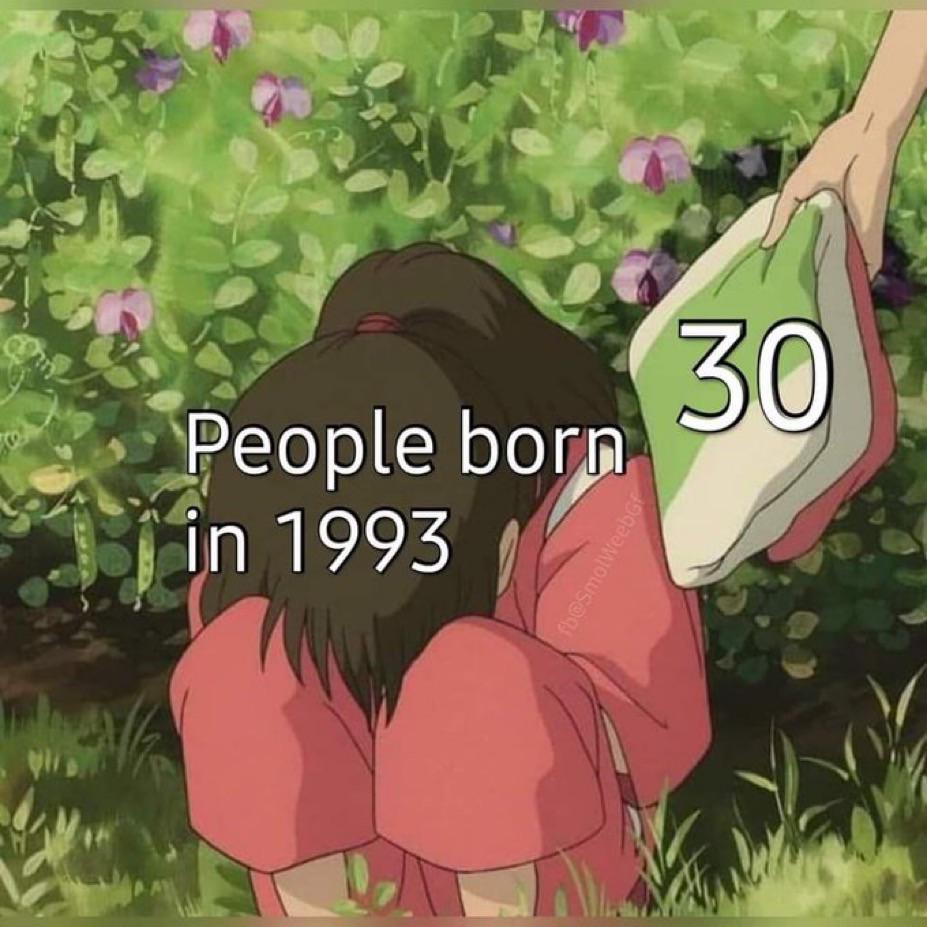 People born in 1993 30 meme