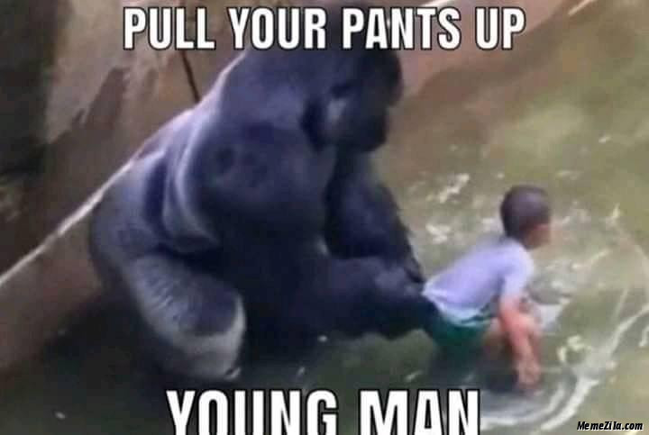 Pull your pants up young man meme