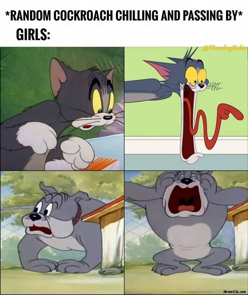 Random cockroach chilling and passing by Meanwhile girls meme