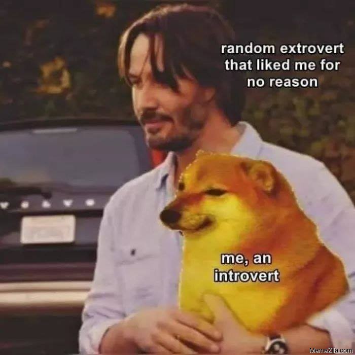 Random extrovert that liked me for no reason Me an introvert meme