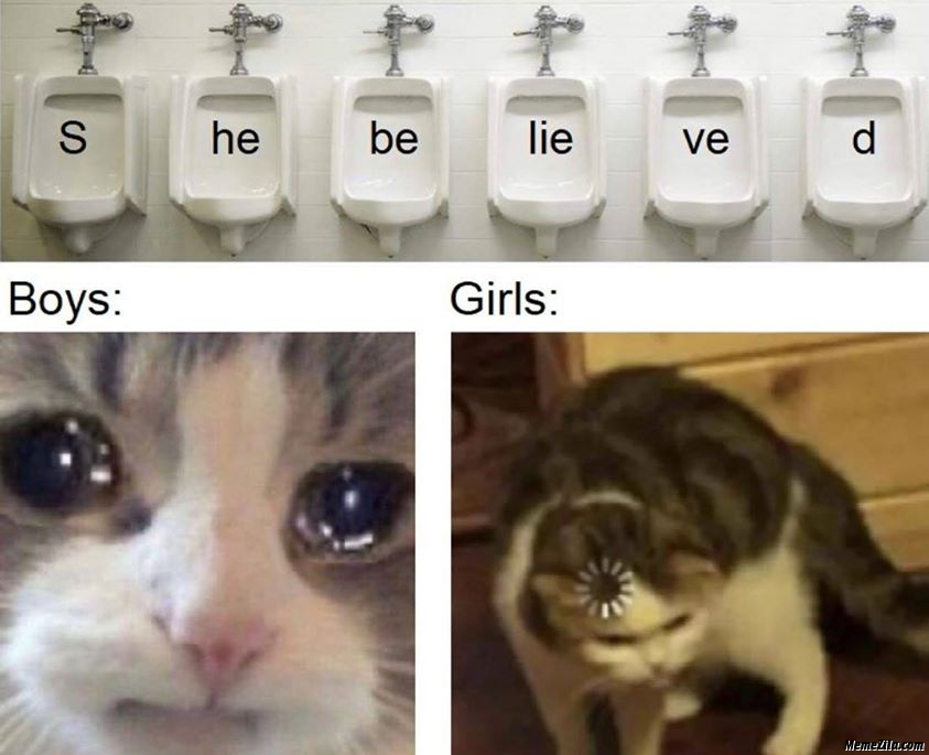 S he be lie ve d she believed he lied me