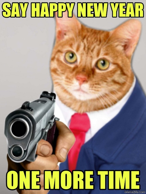 Say happy new year one more time cat meme