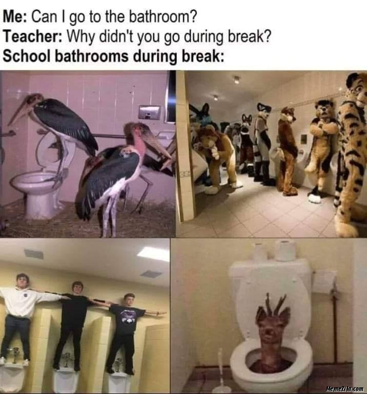 School bathrooms during break meme
