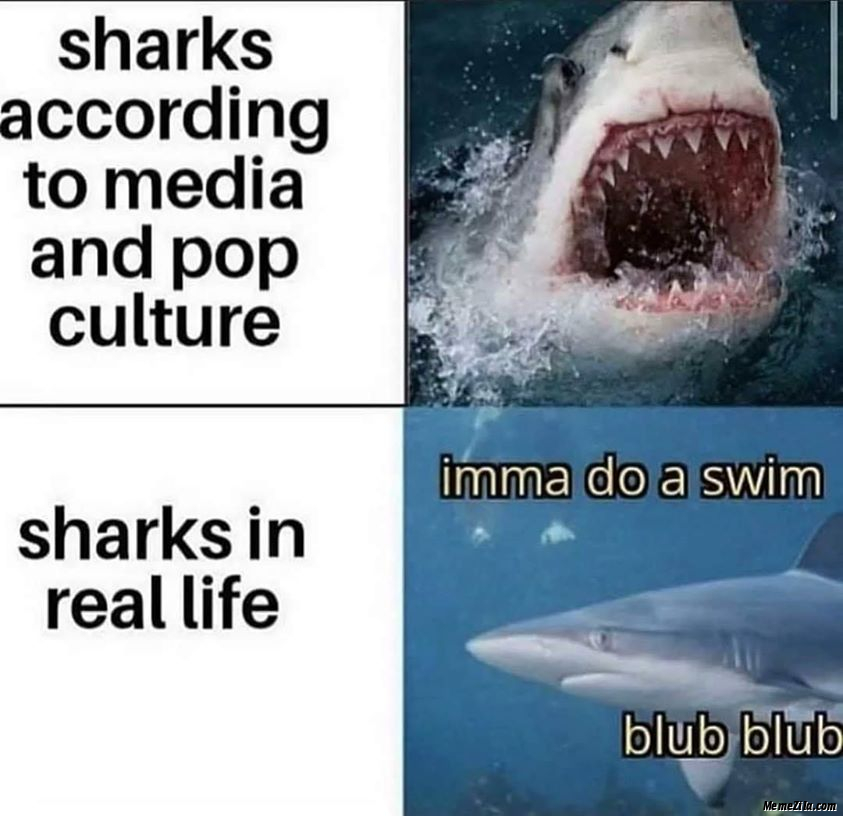 Sharks according to media and pop culture vs Sharks in real life meme