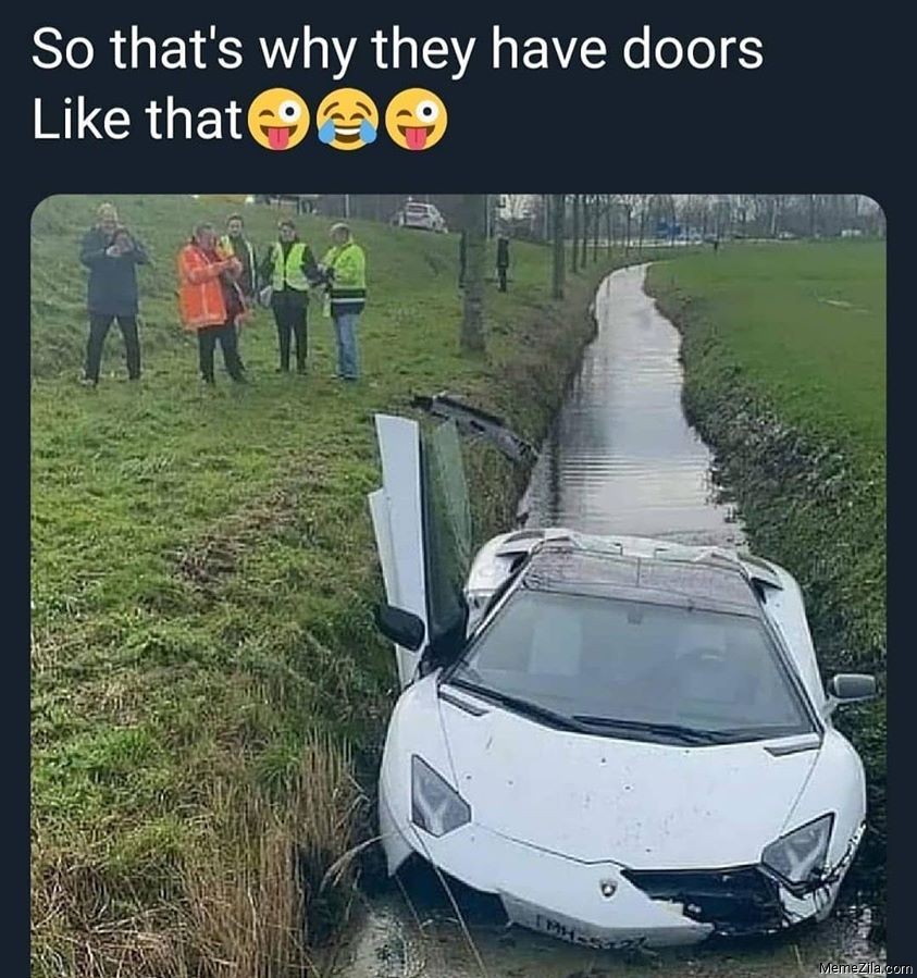 So thats why they have doors like that meme