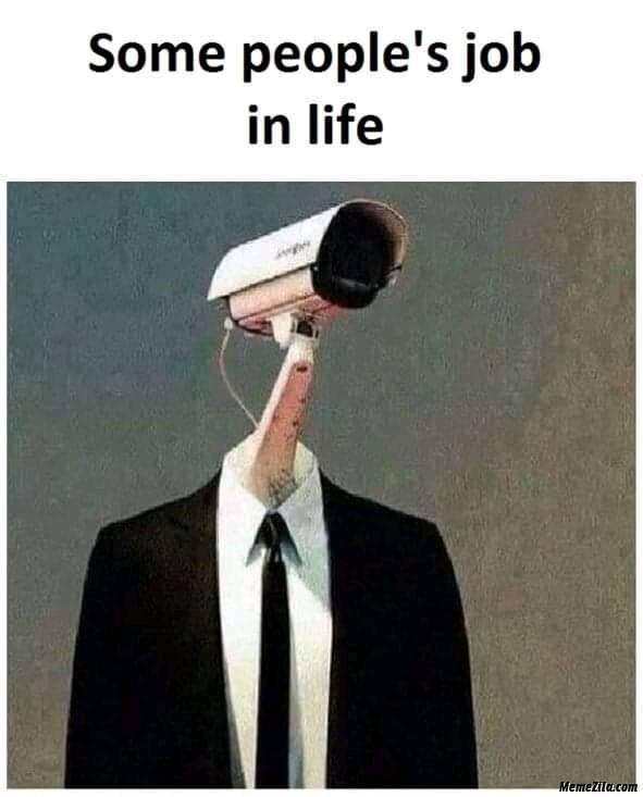 Some peoples job in life meme