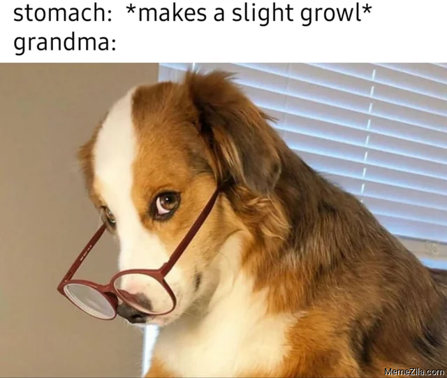 Stomach: makes a slight growl Meanwhile Grandma meme