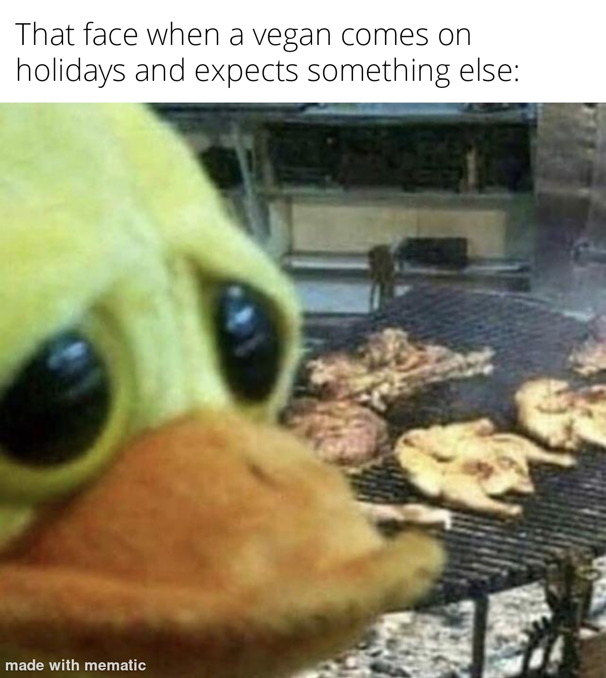 That face when a vegan comes on holidays and expect something meme
