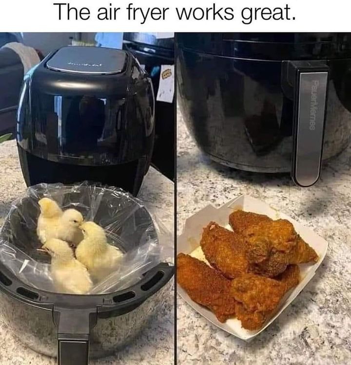 The air fryer works great meme