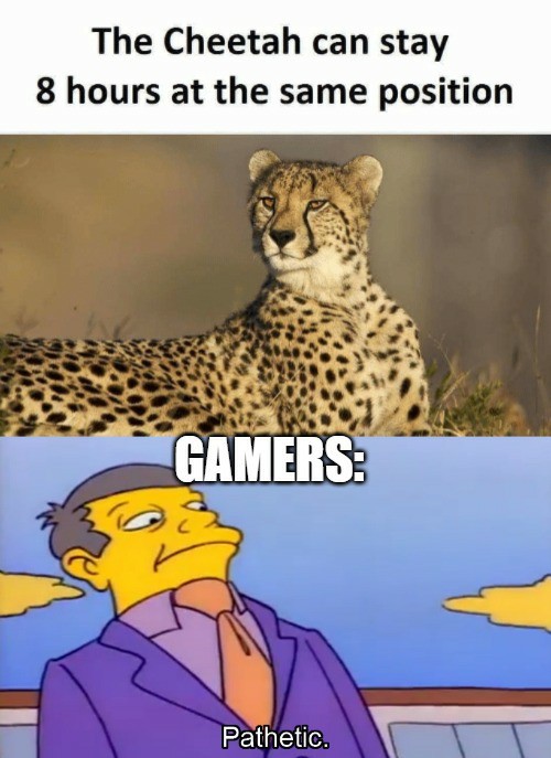 The Cheetah can stay 8 hours at the the same position Gamers: Pathetic meme