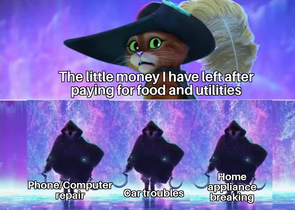 The little money I have left after paying for food and utilities meme