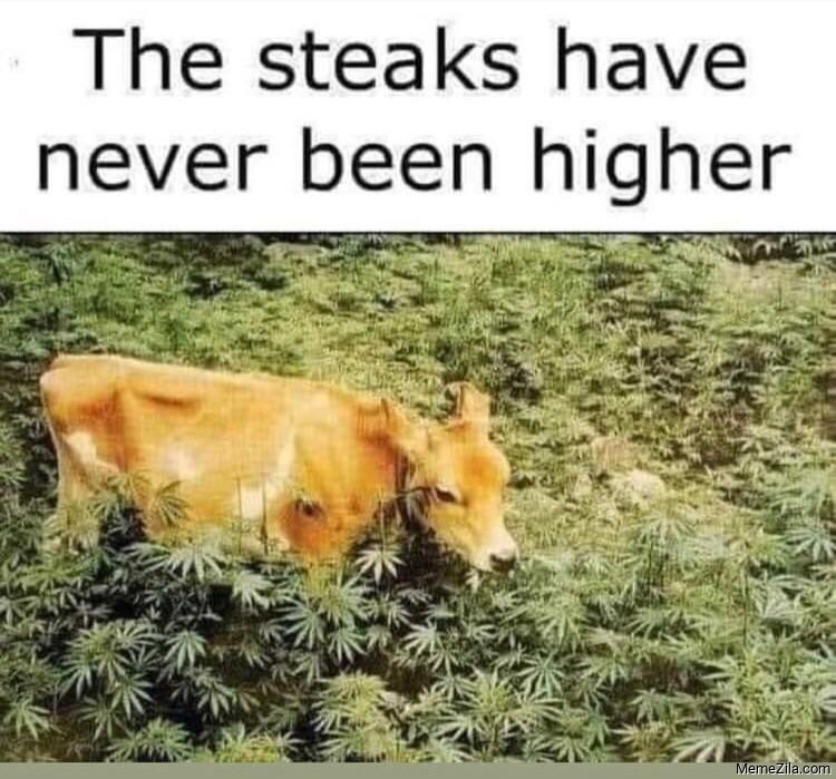The steaks have never been higher meme