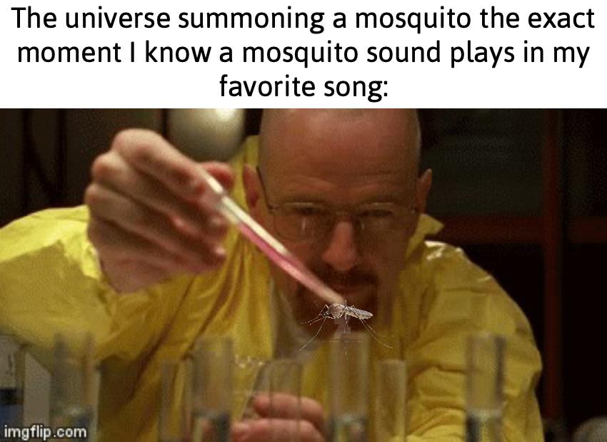 The universe summoning a mosquito the exact moment I know mosquito sound plays in my favourite song meme