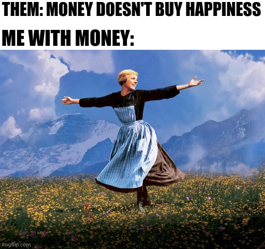 Them: Money doesn't buy happiness Me with money: meme