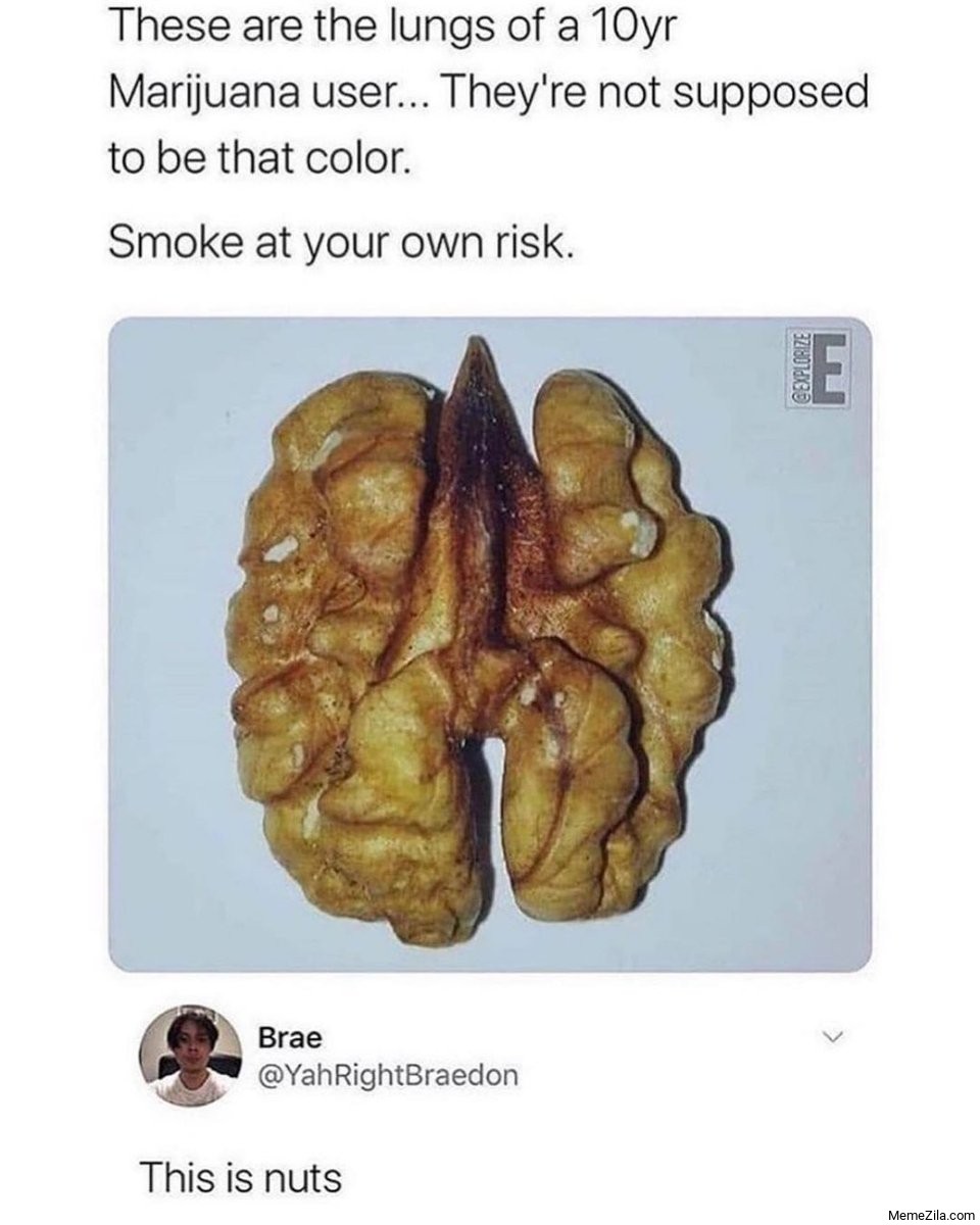 These are the lungs of a 10yr marijuana user This is nut meme