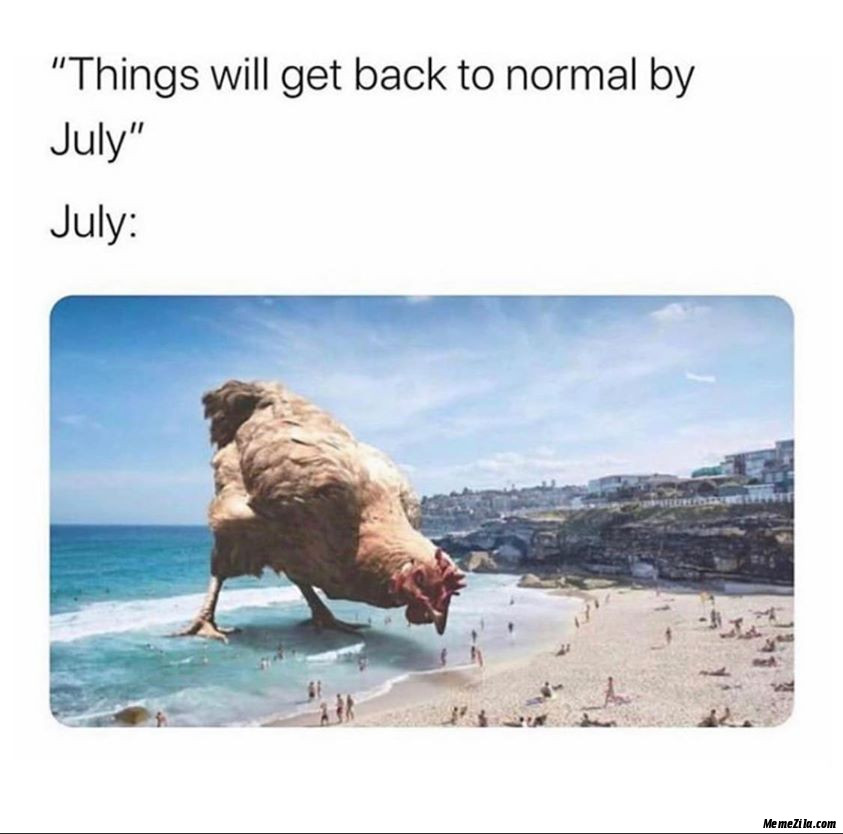Things will get back to normal by july Meanwhile july meme