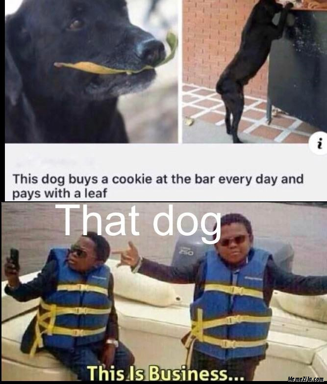 This dog bites a cookie at the bar everyday and pays with a leaf This is business meme