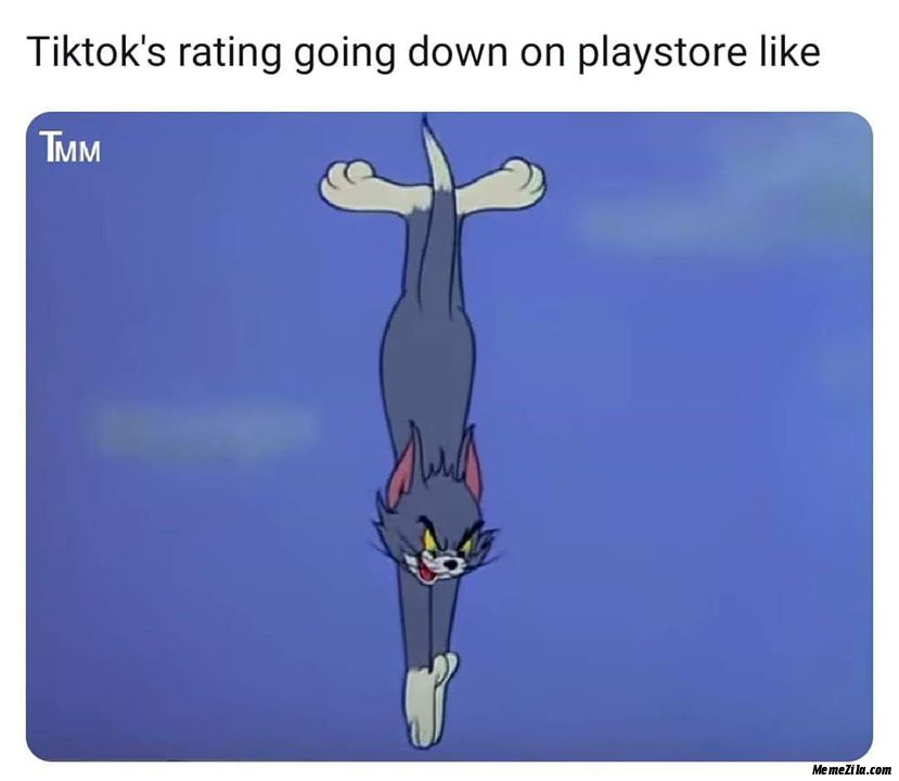 Tiktoks rating going down on playstore like meme