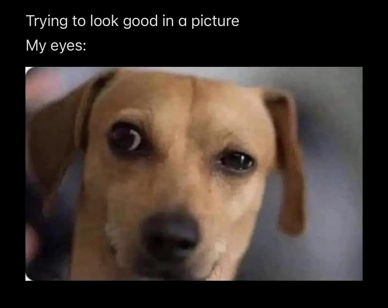Trying to look good in a picture My eyes: meme