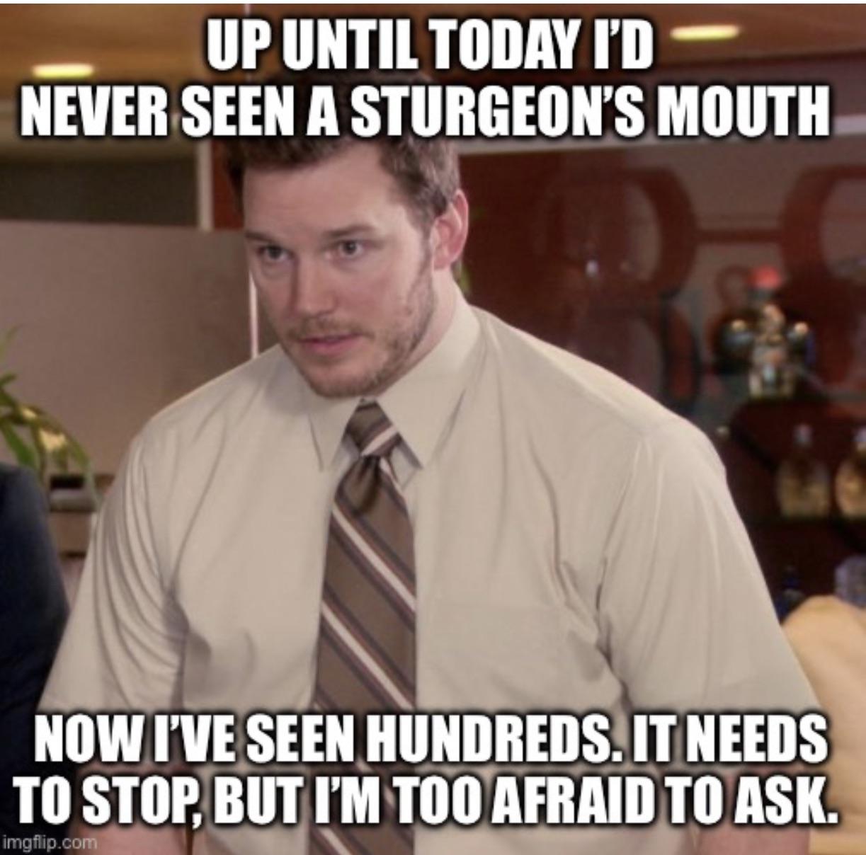 Up until today's I'd never seen a sturgeon's mouth meme