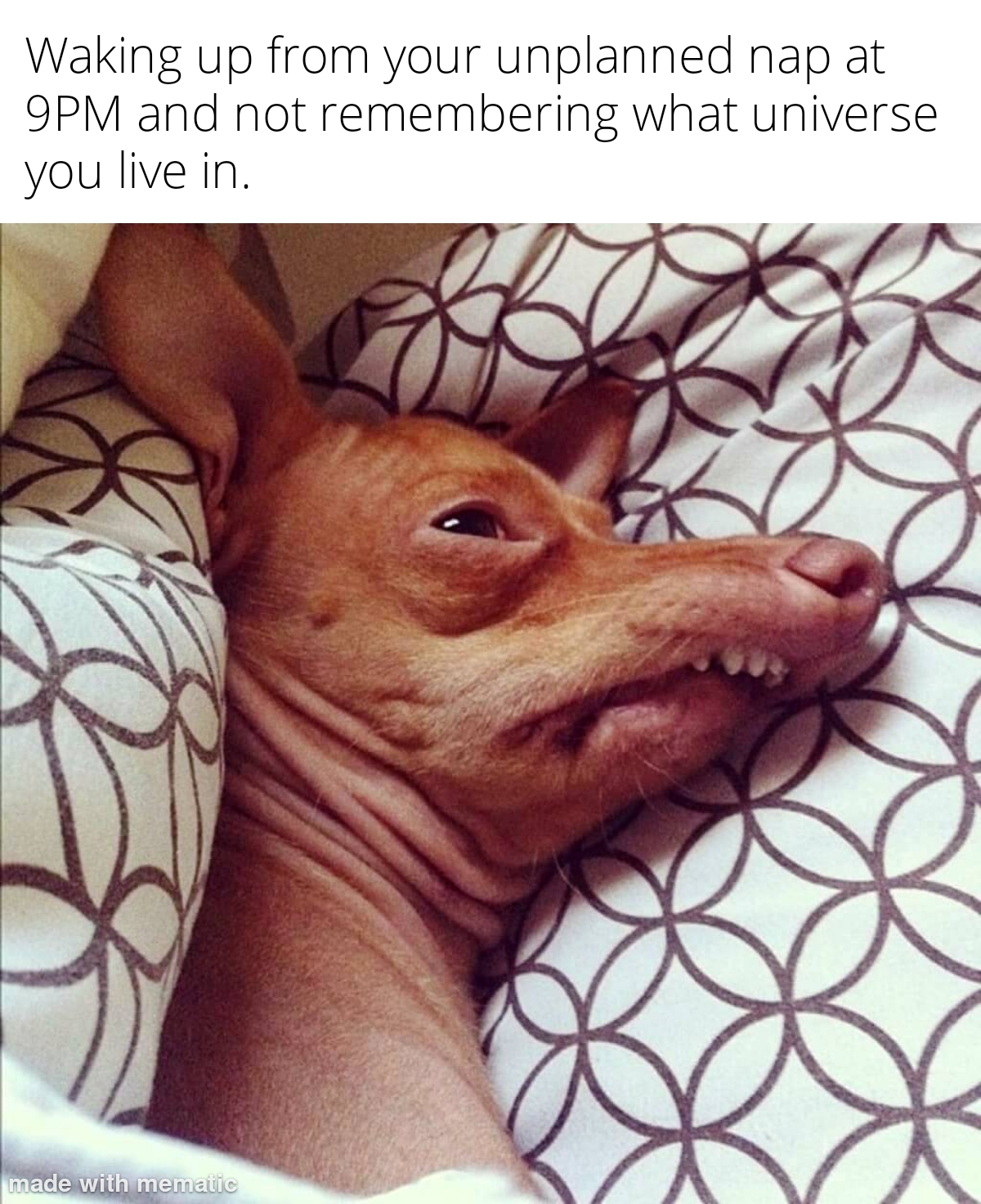 Waking up from your unplanned nap at 9PM and not remembering what universe meme