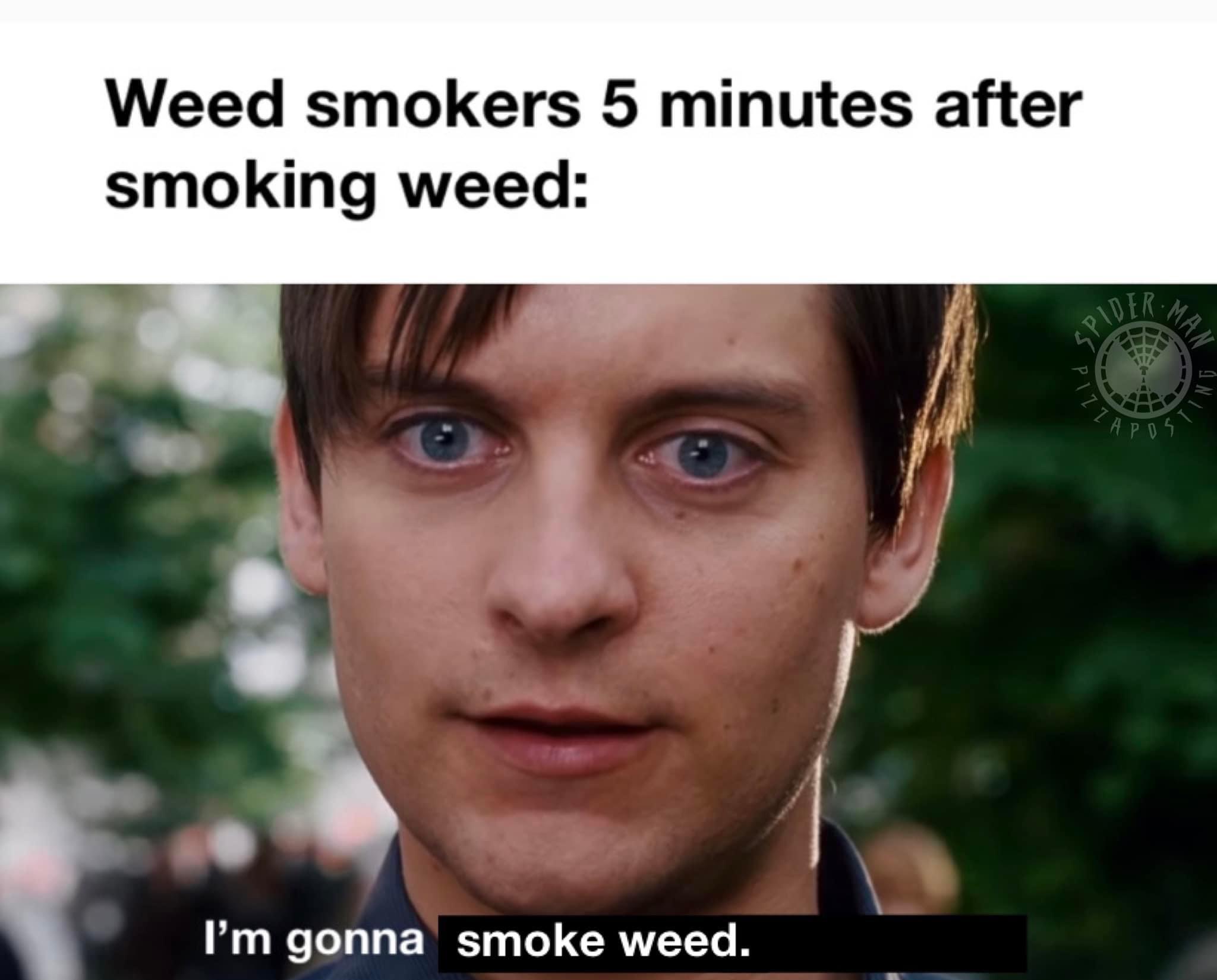 Weed smokers 5 minutes after smoking weed: I'm gonna smoke weed meme
