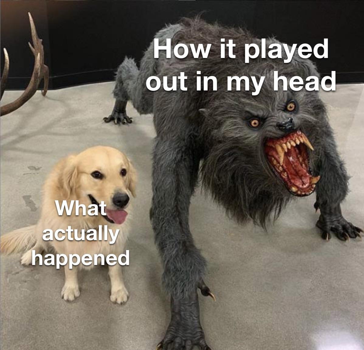 What actually happened How it played out in my head meme