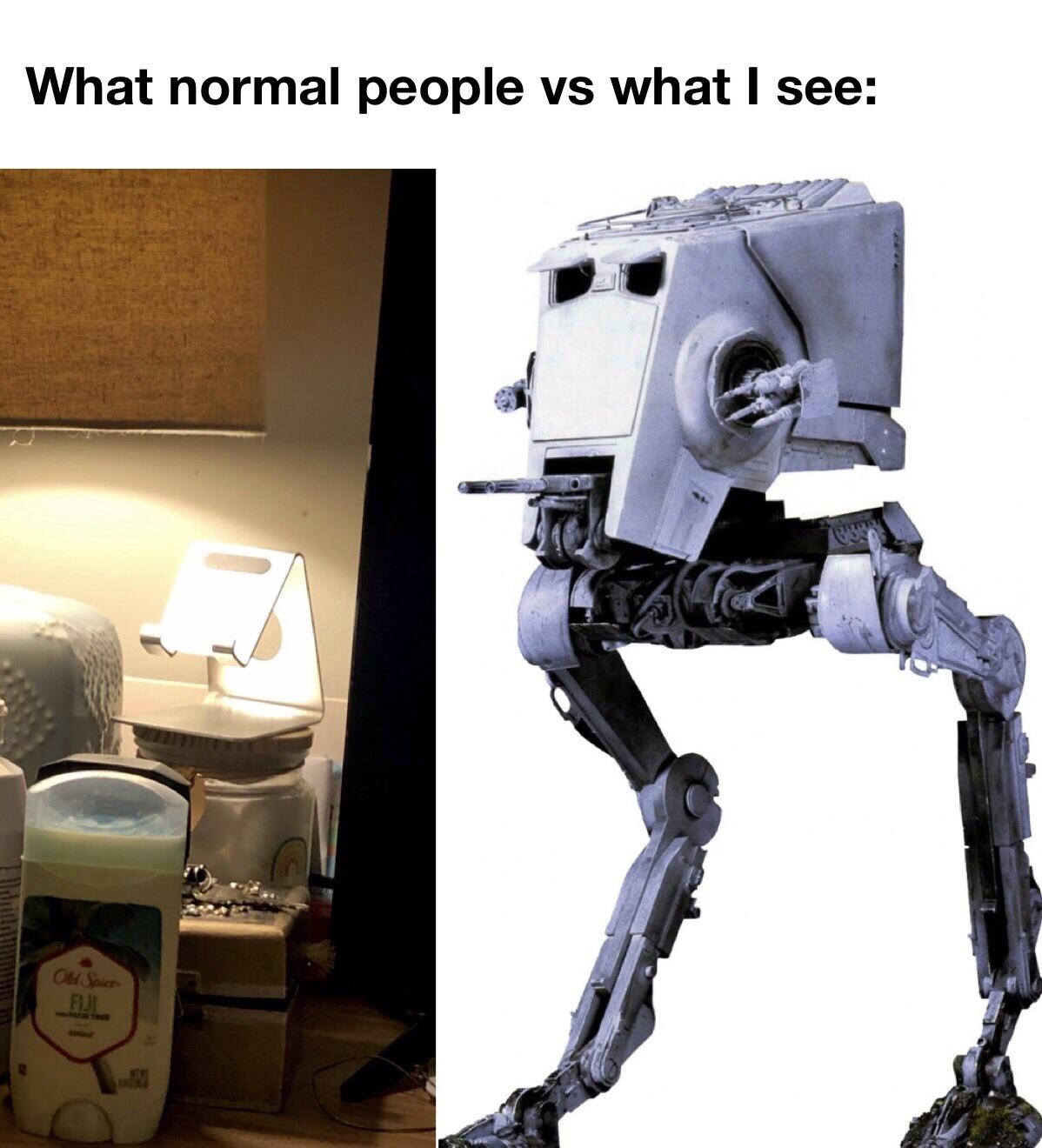 What normal people see vs what I see meme