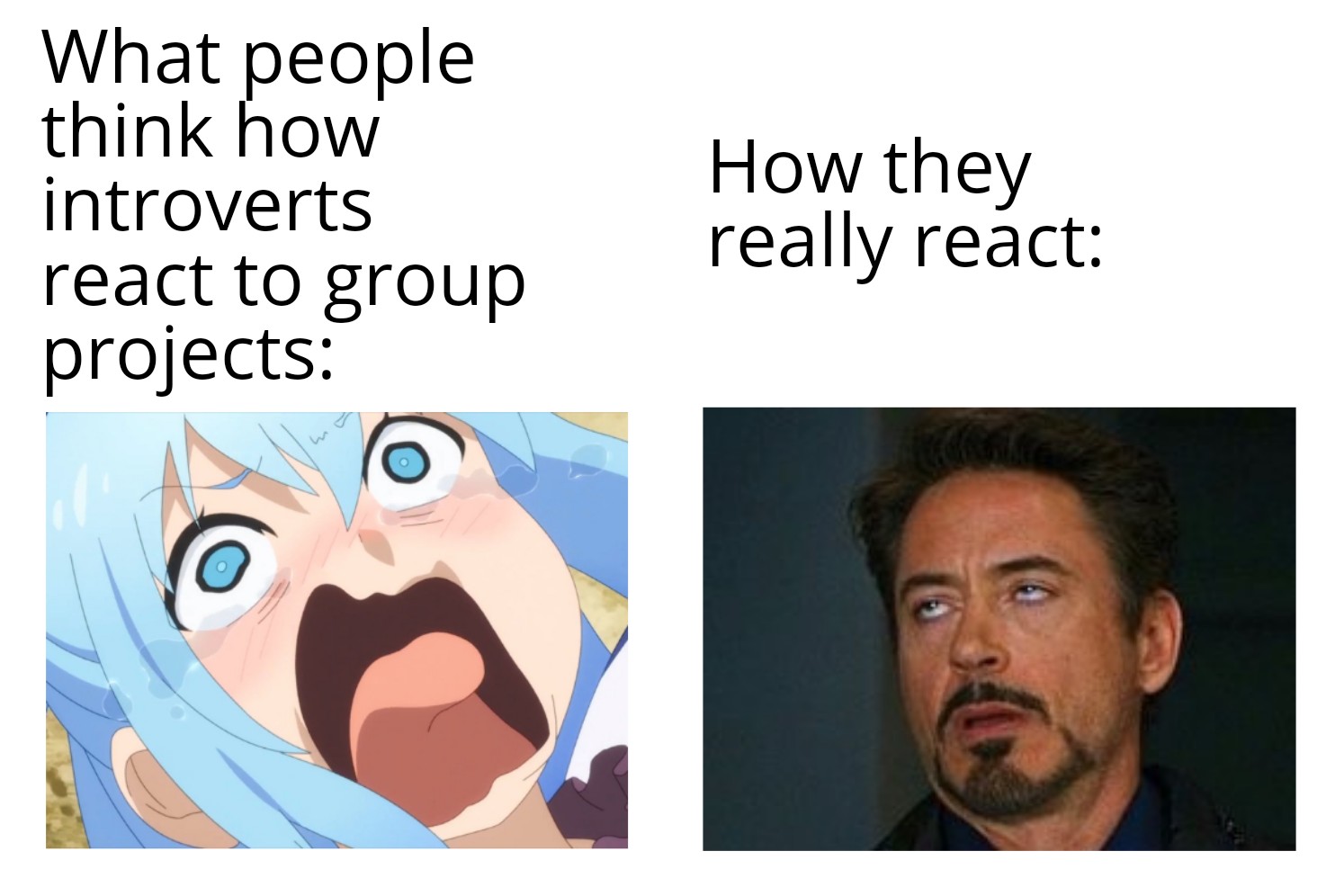 What poeple think how introverts react to group projects: How they really react meme