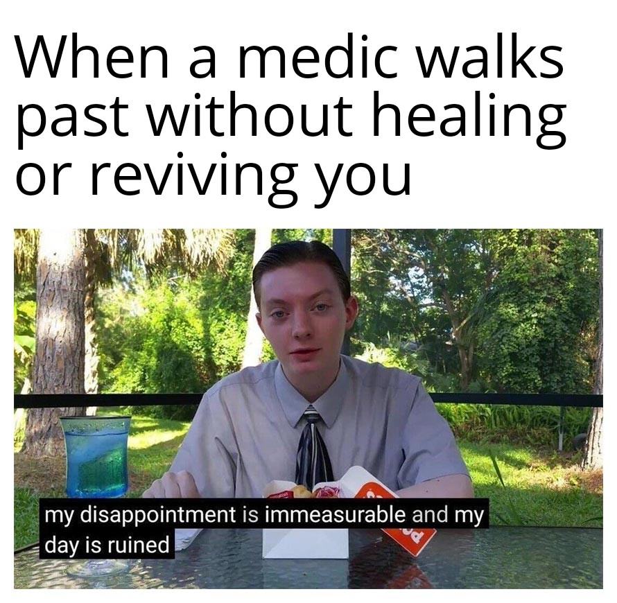 When a medic walks past without healing or reviving you meme
