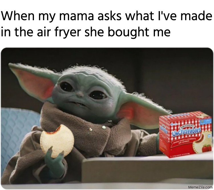 When my mama asks what I have made in the air fryer she bought me meme