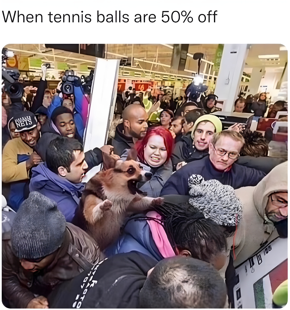 When tennis balls are 50% off meme