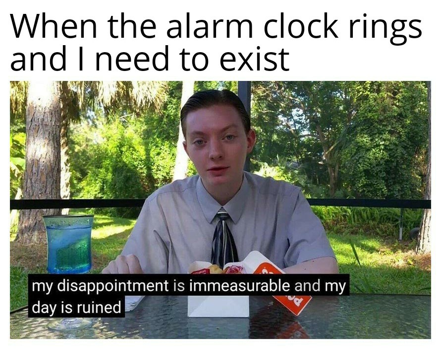 When the alarm clock rings and I need to exist meme