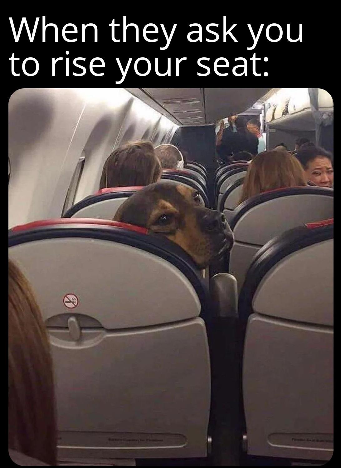 When they ask you to rise your seat meme