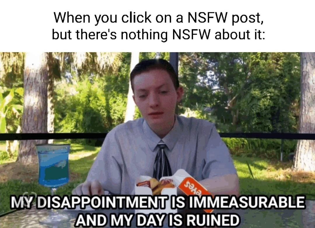 When you click on a NSFW post, but there's nothing NSFW about it meme