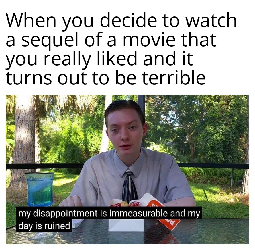 When you decide to watch a sequel of a movie that you really liked and it turns out to be terrible meme